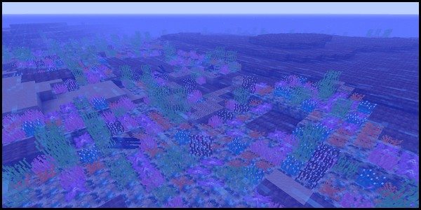 coral4