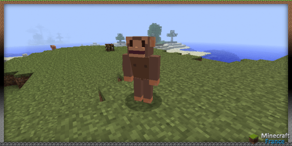 monkey