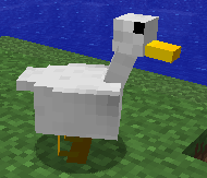 6213098