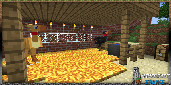 pic_straw_in_pen