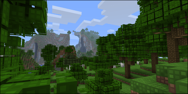 ls_forrest