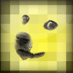 poireau