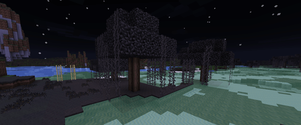 swamp