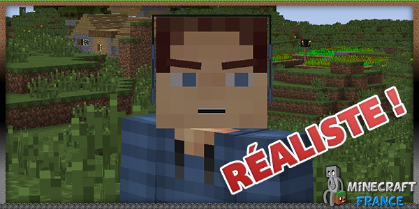 Minecraft france