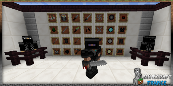 Ninja mod