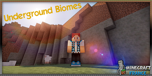 ImageUnderBiomesFINAL
