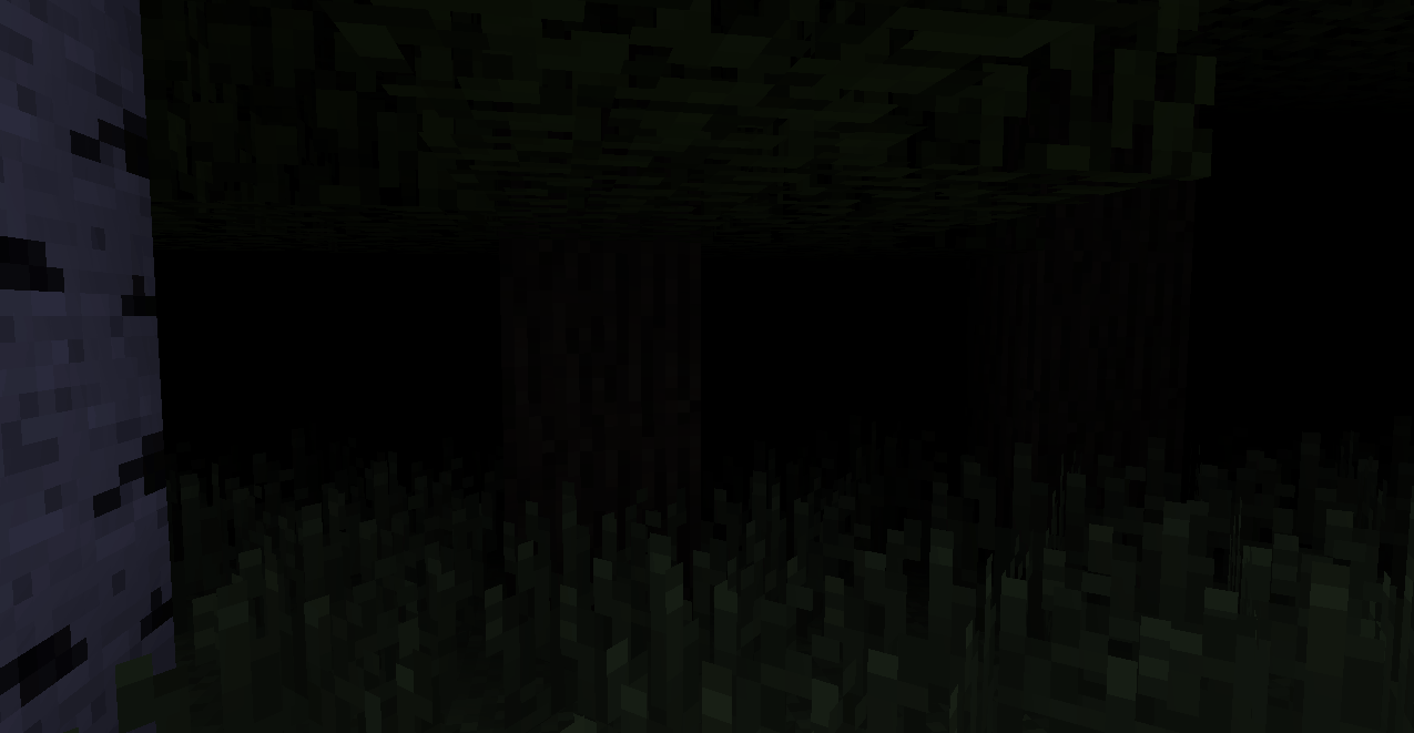 forêt sombre
