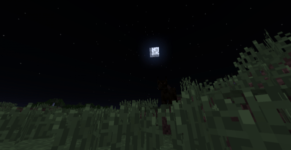 Une Dark Beast (Bête Noire) dans une plaine lors dans le pleine lune.