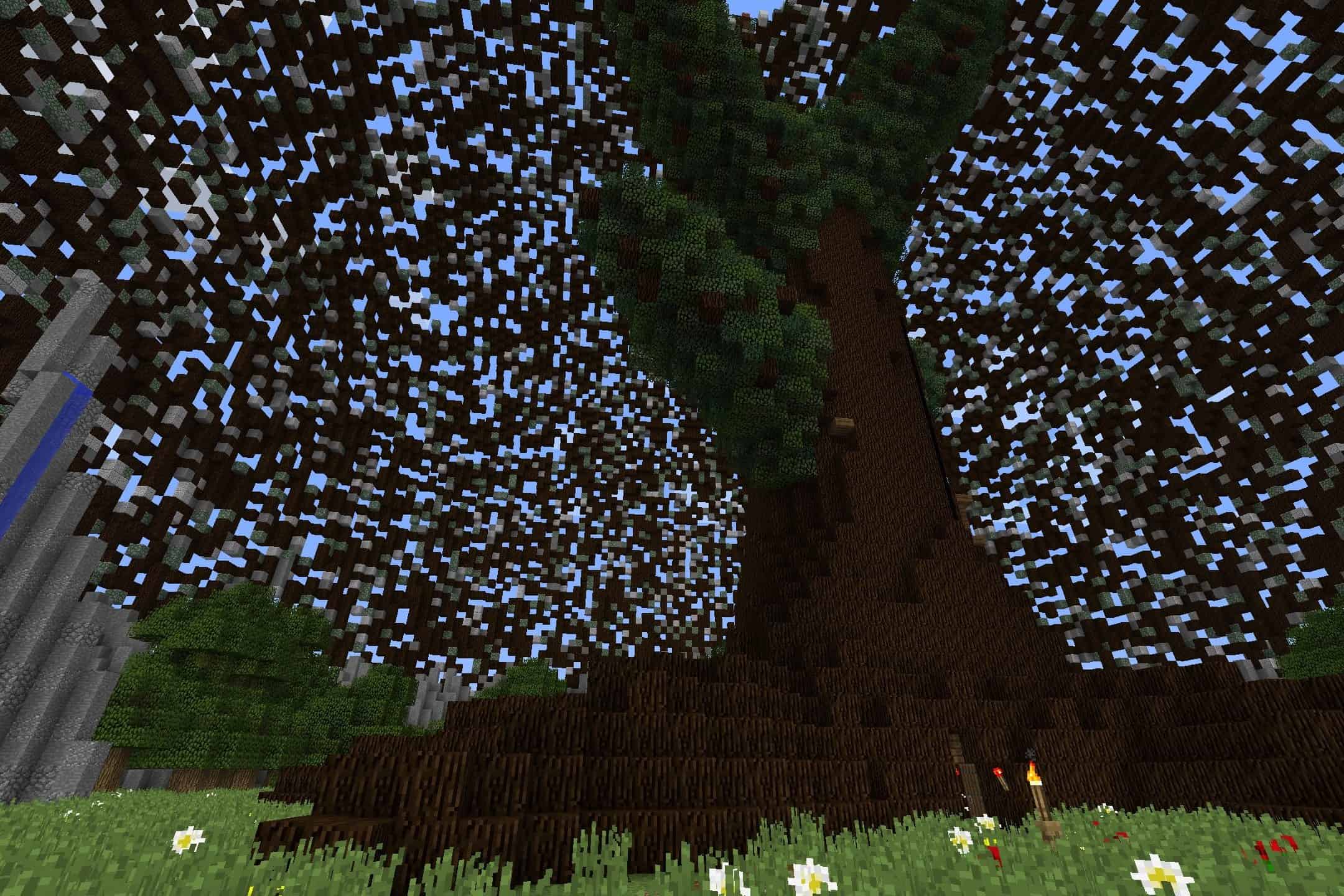 la map de Corpus sous le grand arbre