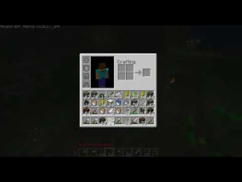 Live Show Procaster Mon Aug 30 2010 11 24 42 AM on Minecrafterryday   live streaming video powere