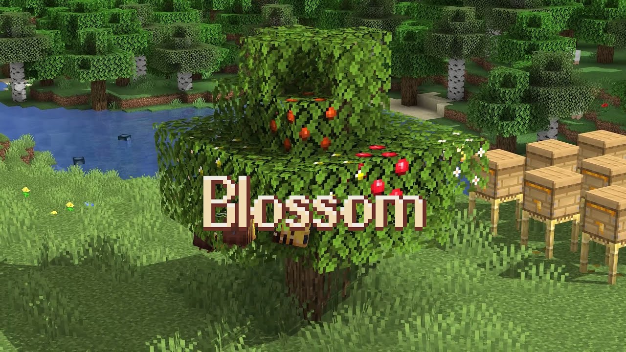 Blossom