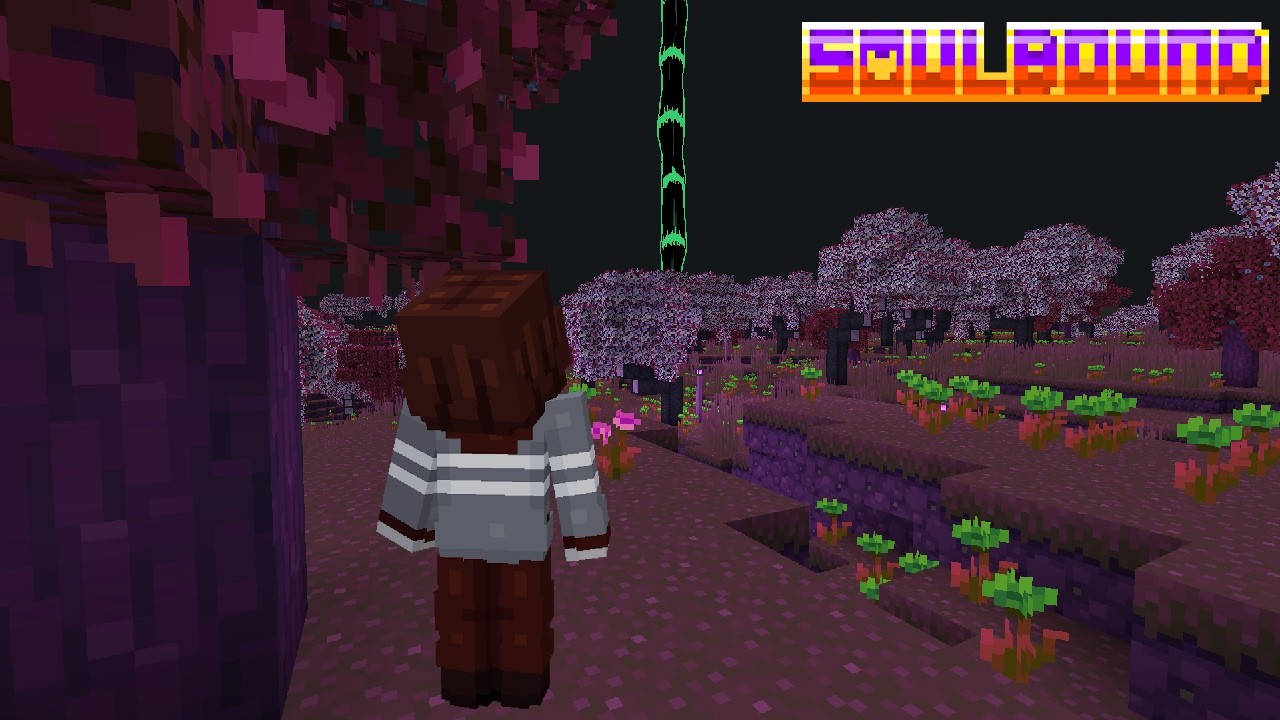 SOULBOUND 2.0 | Release Trailer