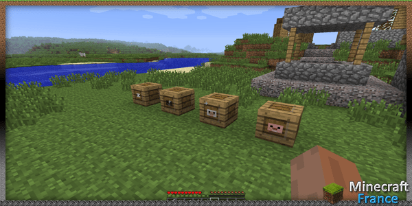 [Mod] Animal Transport [1.0.0] - Minecraft-France