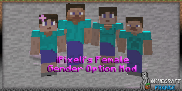 Gender mod 1.16 5. Гендер мод майнкрафт. Wildfire's female Gender Mod майнкрафт БЕДРОК. Gender Mod майнкрафт размер 100%. Мод гендер фемейл картинки маинкрафт.