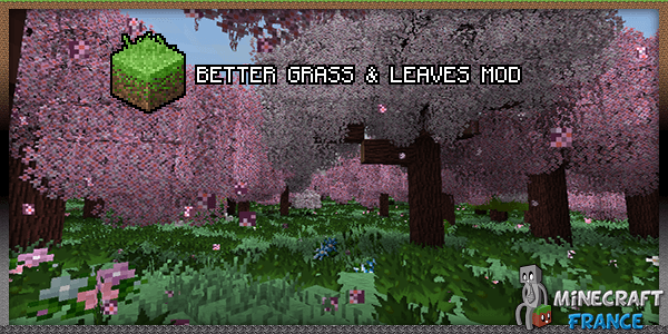 better-grass