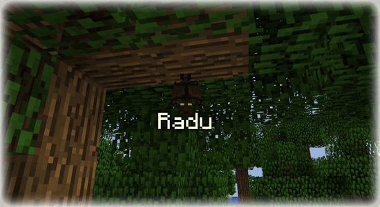 radupos%C3%A9.png