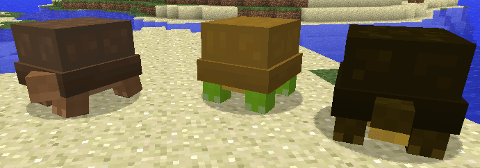 turtle4