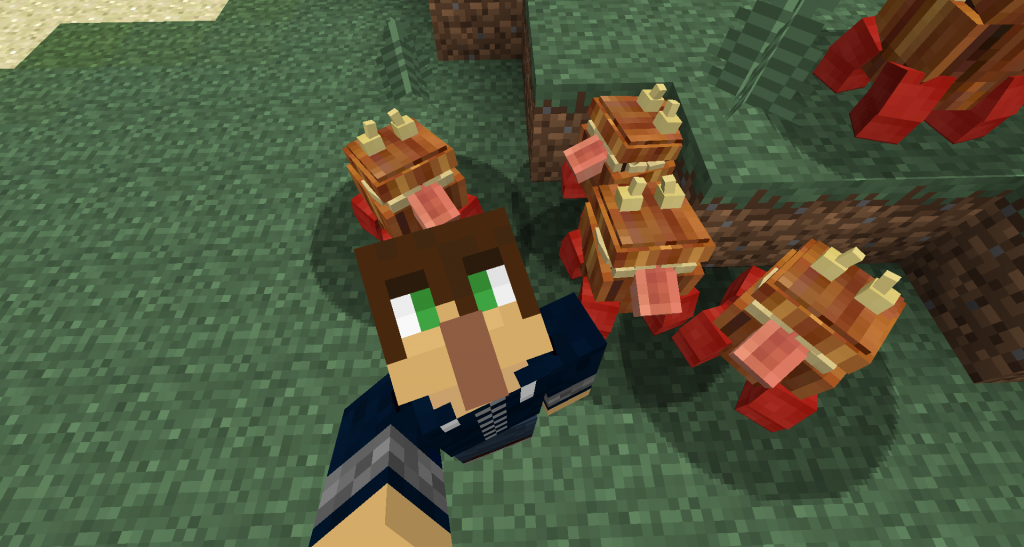 Une armée de Chesters ! (photo prise avec Minecraft Selfies)