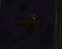 chauve-souris infestée