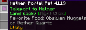 Nether Portal Pet