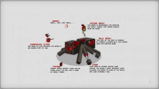 minecraft_spider_anatomy_by_dentvanboo-d5mwhat