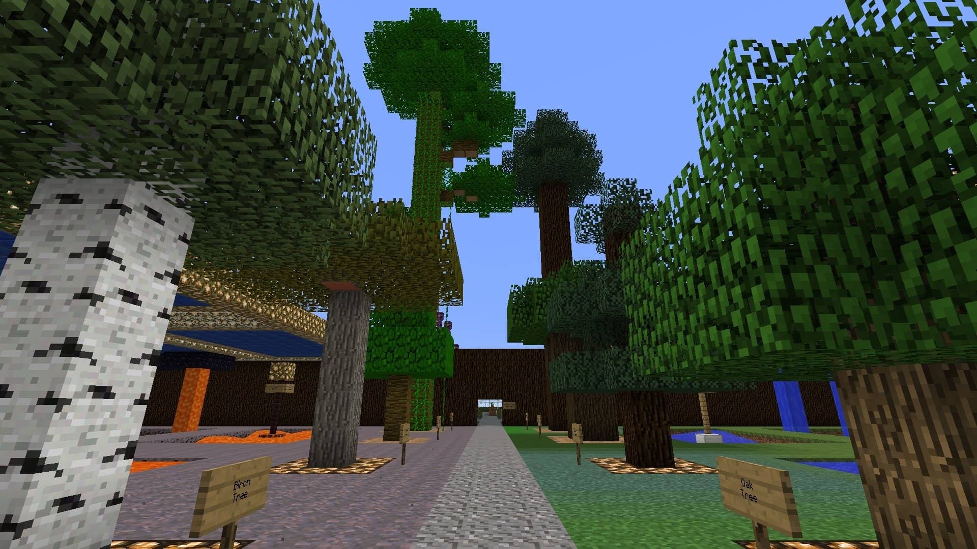 les arbres dans la Test Map