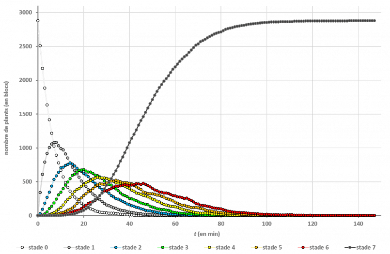 graphe quadrillage (2)