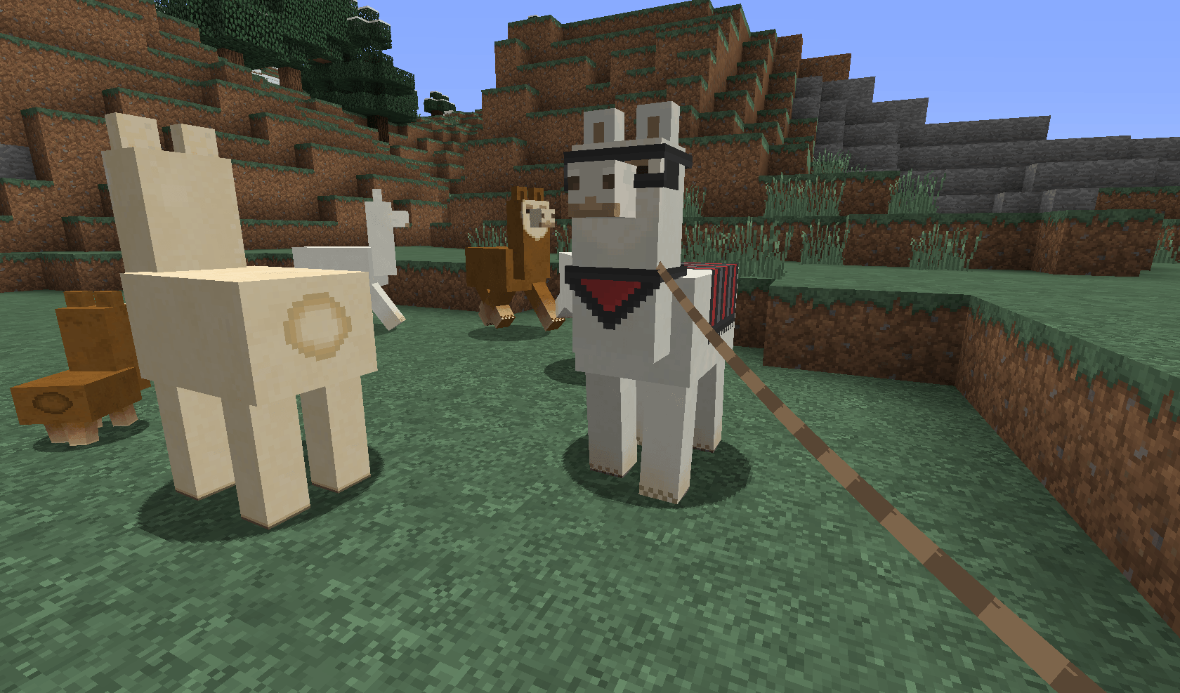Des lamas dans Minecraft
