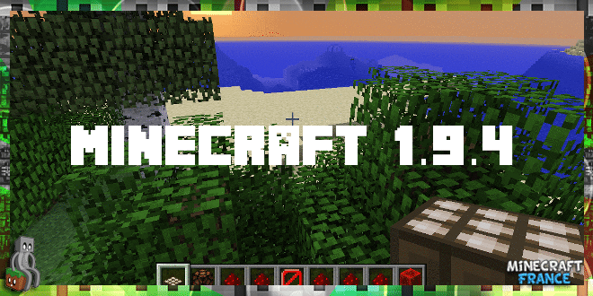 Minecraft Cheats, Hints, and Cheat Codes for the PC