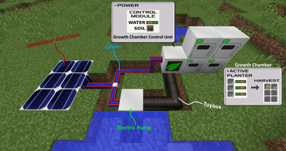 Image Growth Chamber