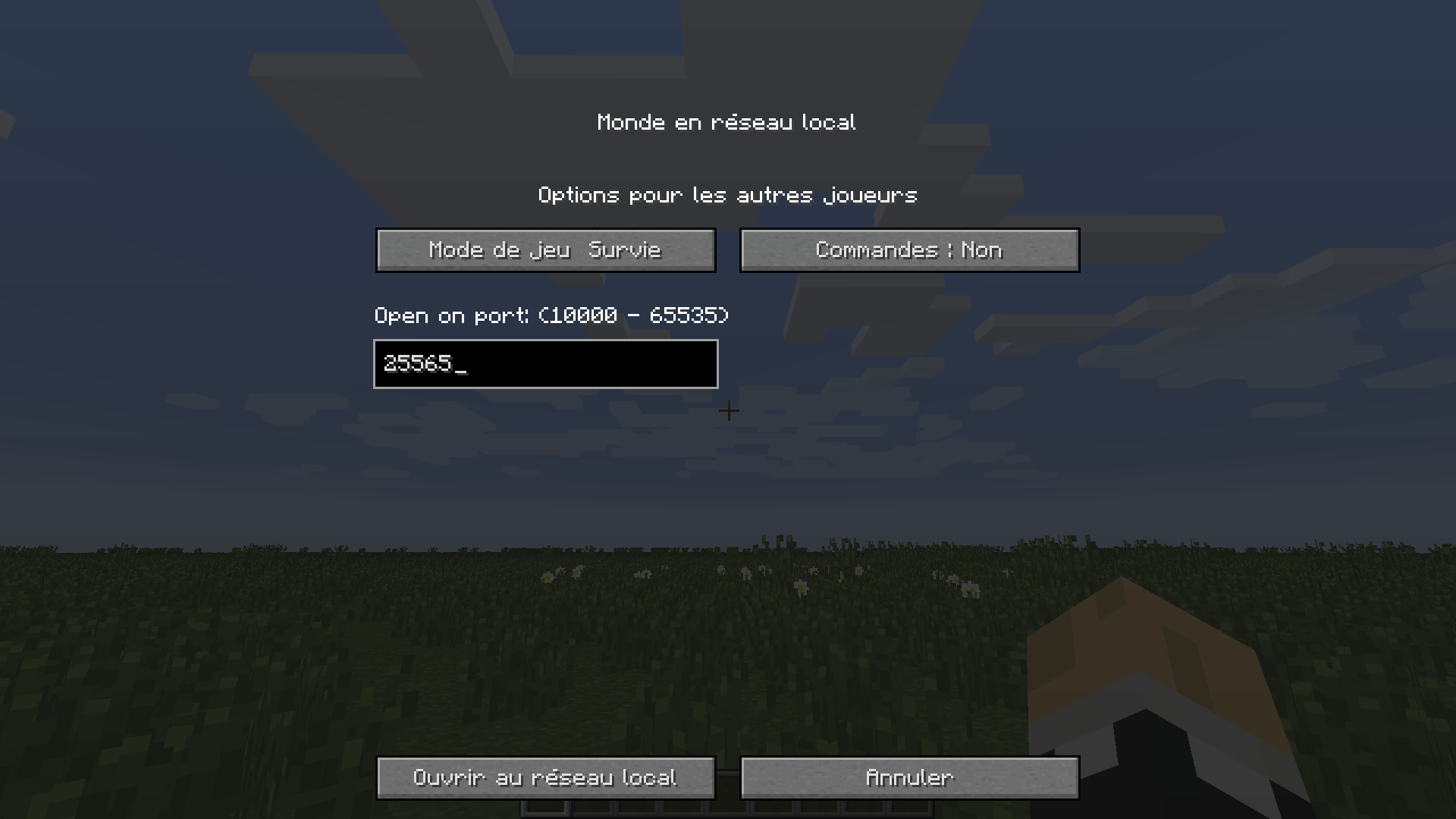 créer un LAN minecraft avec CustomLanPort