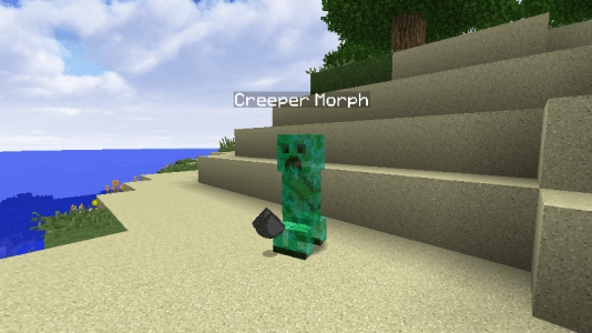 Ici, vous pouvez voir le morph d'un creeper que je viens de tuer