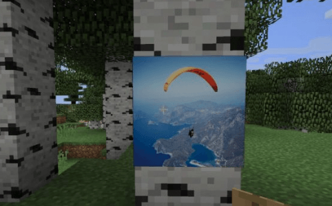 OnlinePictureFrame - MinecraftMod