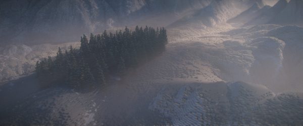 Une forêt de pins au milieu des montagnes