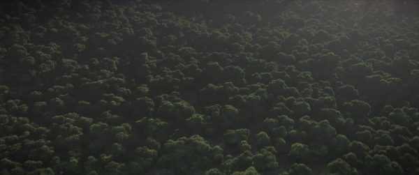 Forêt Minecraft avec le shader Continuum