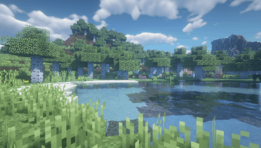 Shaders Shaders