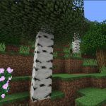 Texture 1.13