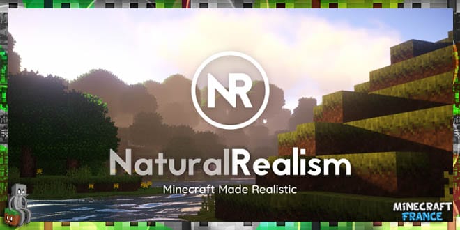 NaturalRealism
