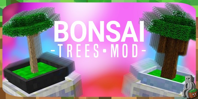 Bonsaï trees