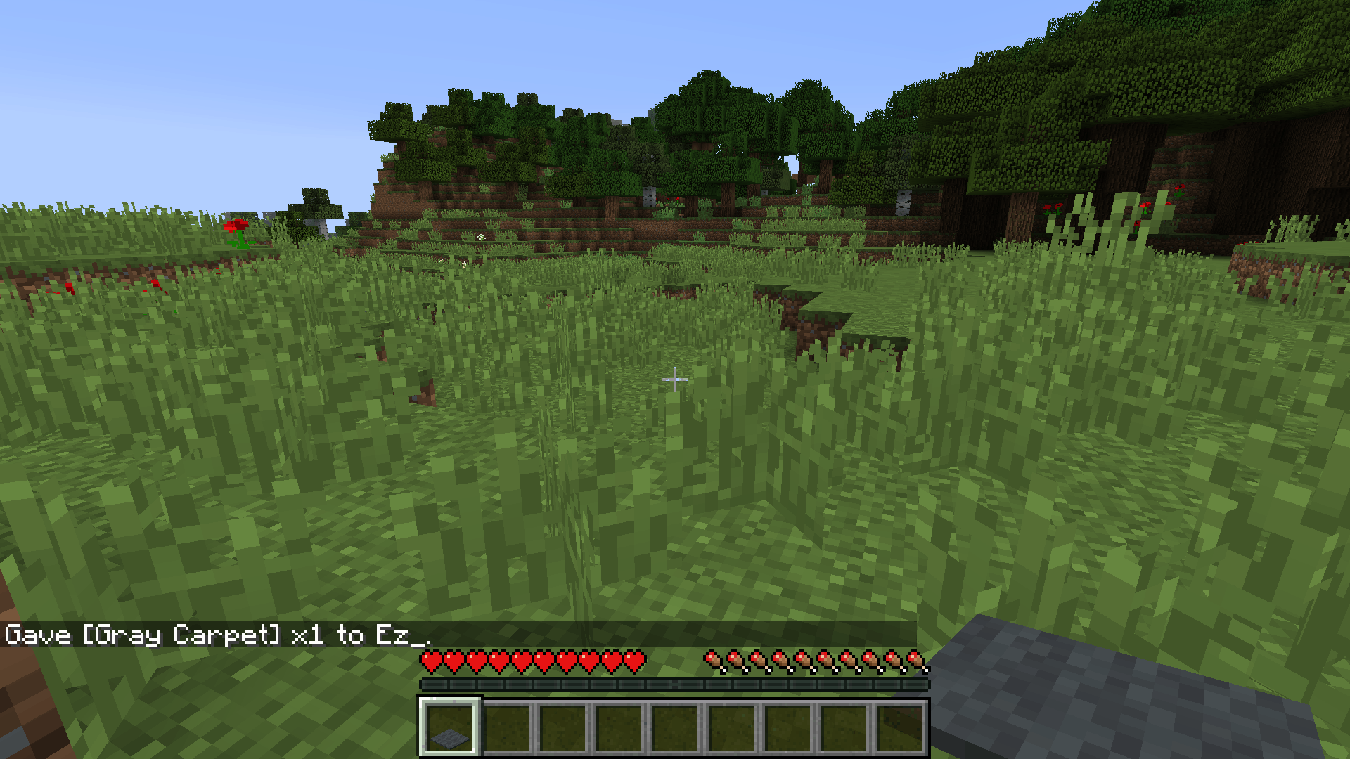 Mod roughly enough items 1 13 2 1 17 1 minecraft france