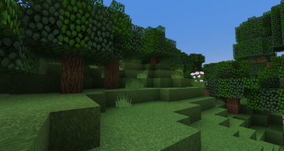 Steven's Traditional : Une plaine avec une forêt