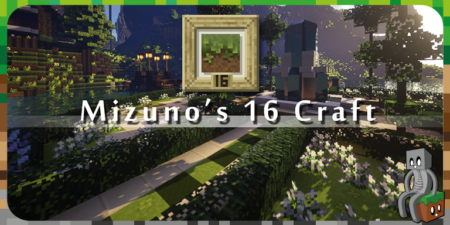 mizuno 16 craft