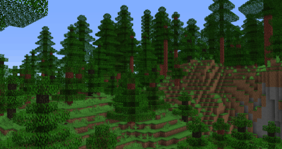Forêt luxuriante de séquoias