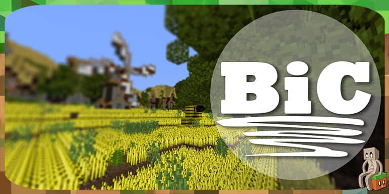 Resource Pack : Bic