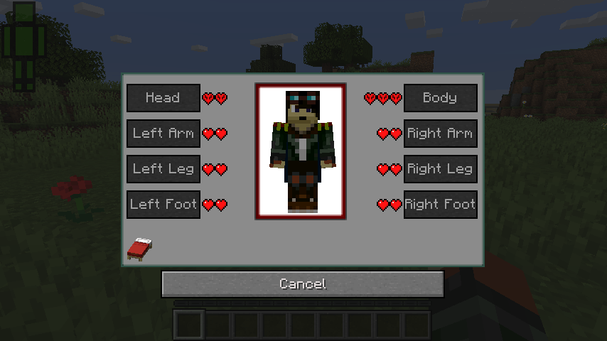 Mod : First Aid [1.11.2 - 1.19.2] - Minecraft-France