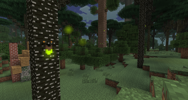 Biome Twilight Forest