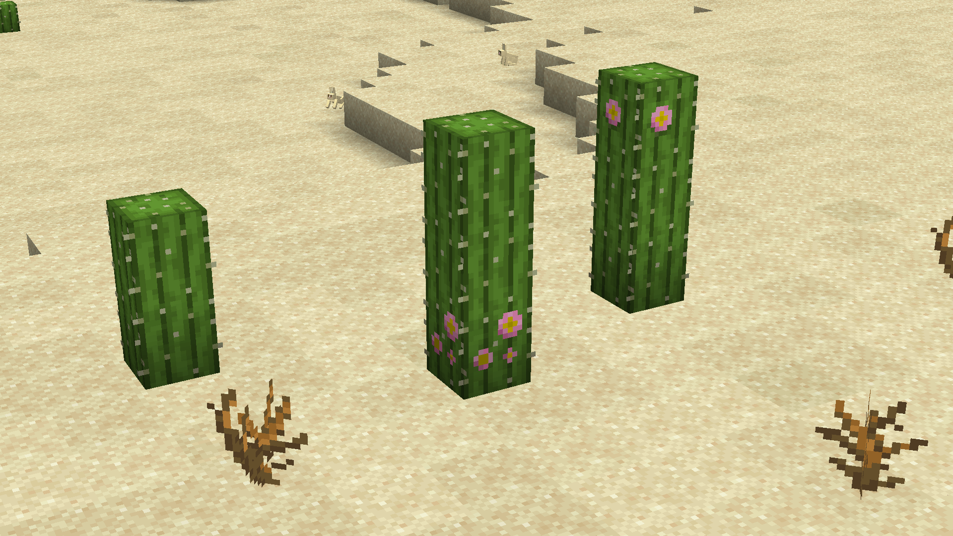 Stay True - Un cactus dans le désert