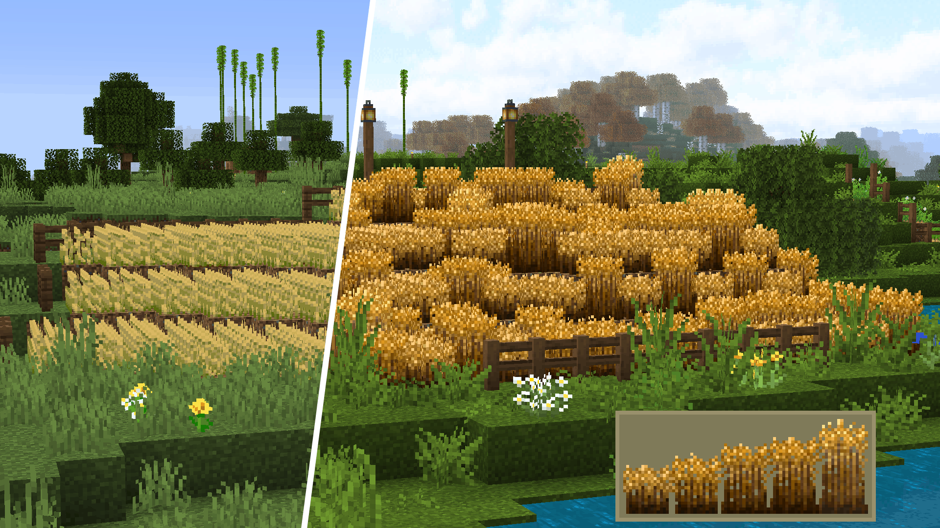 Minecraft textures 1.16 5. Ресурс паки для МАЙНКРАФТА 1.16.5. 1.14.4 Майнкрафт пшеница. Ресурс пак на траву. Мод на траву в майнкрафт.