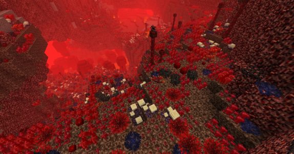 Nether Grass land