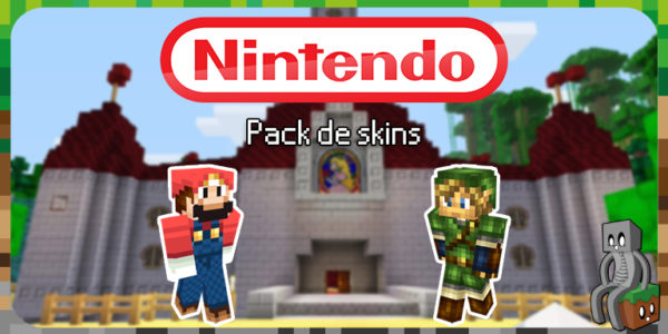 Skins Nintendo